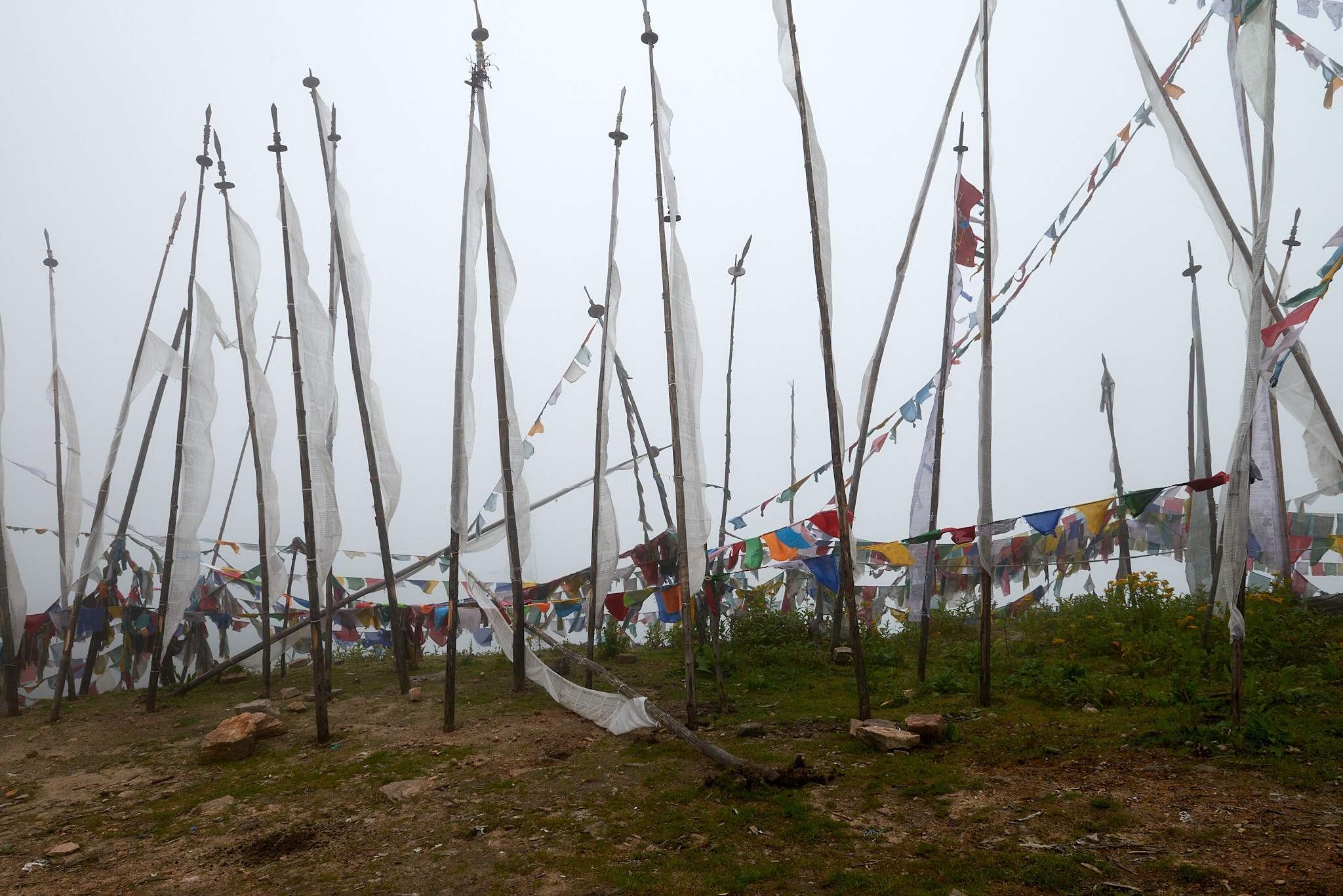 20170809 178 Chela La